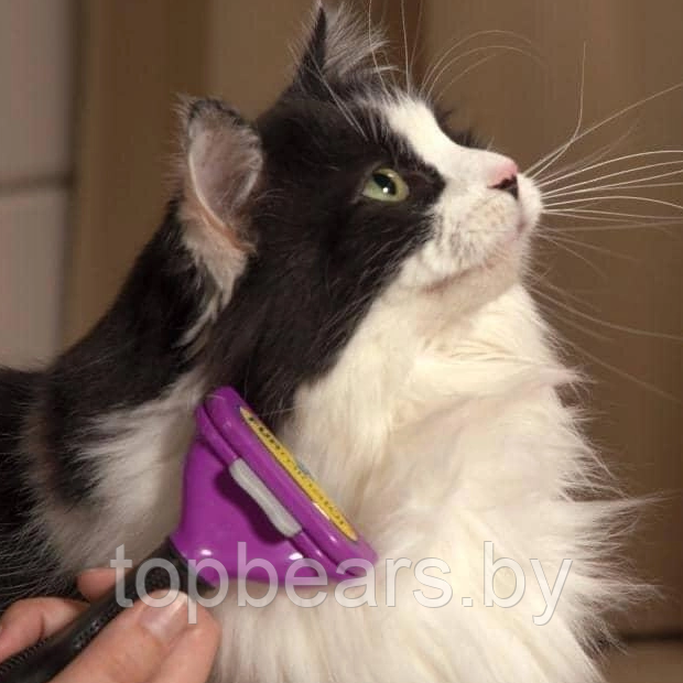 Щетка для вычесывания кошек и собак Fobnimarut / Расческа - чесалка с кнопкой - эджектором Фиолетовый (для - фото 3 - id-p207133080