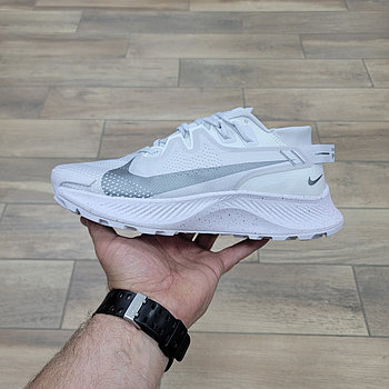 Кроссовки Nike Zoom Pegasus Trail 2 Pure Platinum