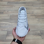 Кроссовки Nike Zoom Pegasus Trail 2 Pure Platinum, фото 3