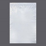 Курьерские пакеты без печати (290x400+45), фото 2