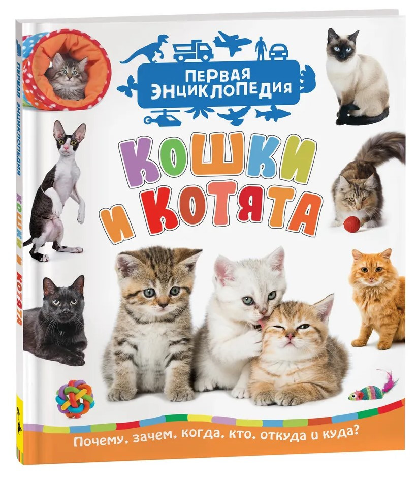 Книга детская «Кошки и котята. Первая энциклопедия» (С.Н. Гальцева) 198*235 мм, 48 страниц, 3+ - фото 3 - id-p207148736