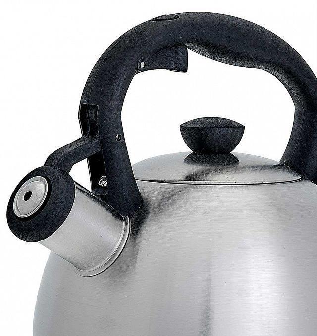 Чайник со свистком для газовой и индукционной плиты 2 литра нержавеющая сталь WEBBER BE-0578 - фото 2 - id-p205481988