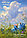 Ежедневник недатированный «Синие коты. Пушистые облака» 138*200*11 мм, 72 л., фото 3