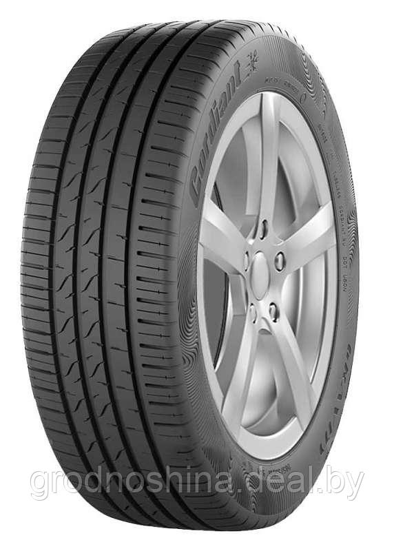 Шины летние 205/55R16 Cordiant GRAVITY 94v