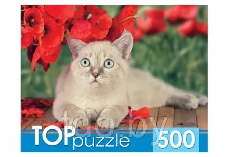 ПАЗЛЫ 500 элементов. Тайская кошка - фото 1 - id-p207263266