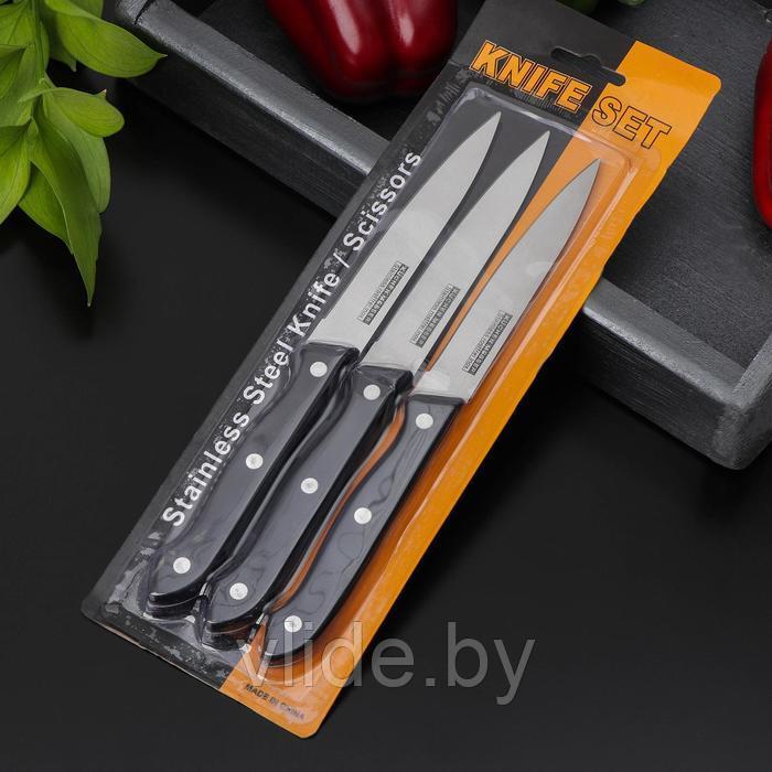 Набор кухонных ножей «Ночь» - фото 6 - id-p141291846