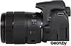 Зеркальный фотоаппарат Canon EOS 850D Kit 18-135mm f/3.5-5.6 IS USM, фото 3