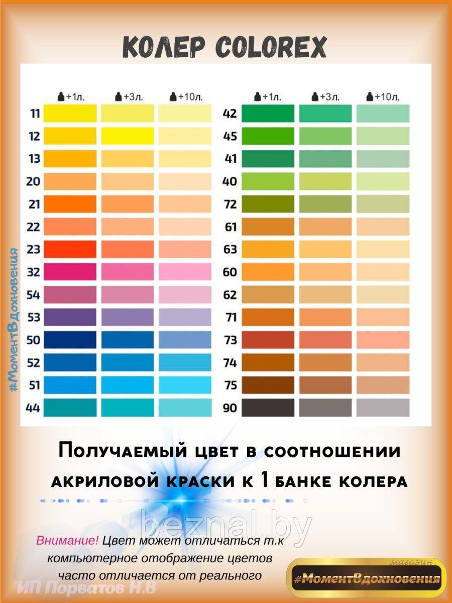 Колеры для краски оранжево-красный Sniezka Colorex 100мл*2шт - фото 2 - id-p207333696