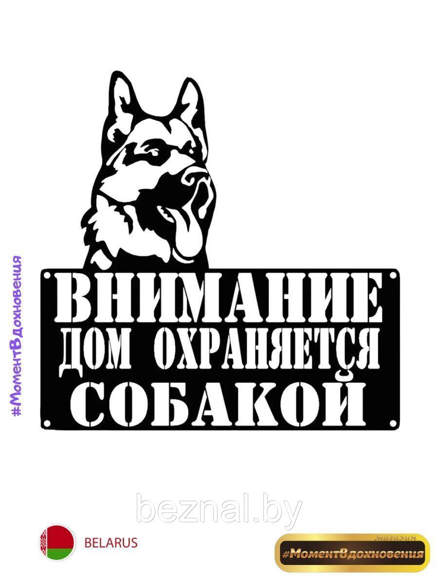 Табличка злая собака - фото 1 - id-p207333793