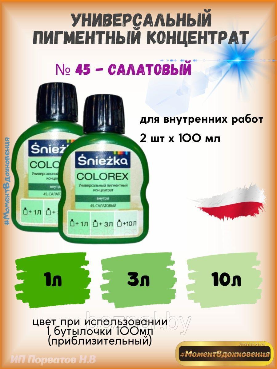 Колеры для краски салатовый Sniezka Colorex 100мл*2шт - фото 1 - id-p207333840