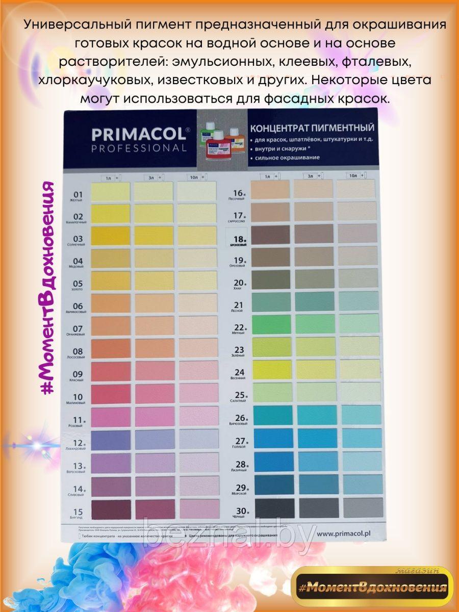 Колеры для краски Primacol 80мл 1шт 09 красный - фото 2 - id-p207333863