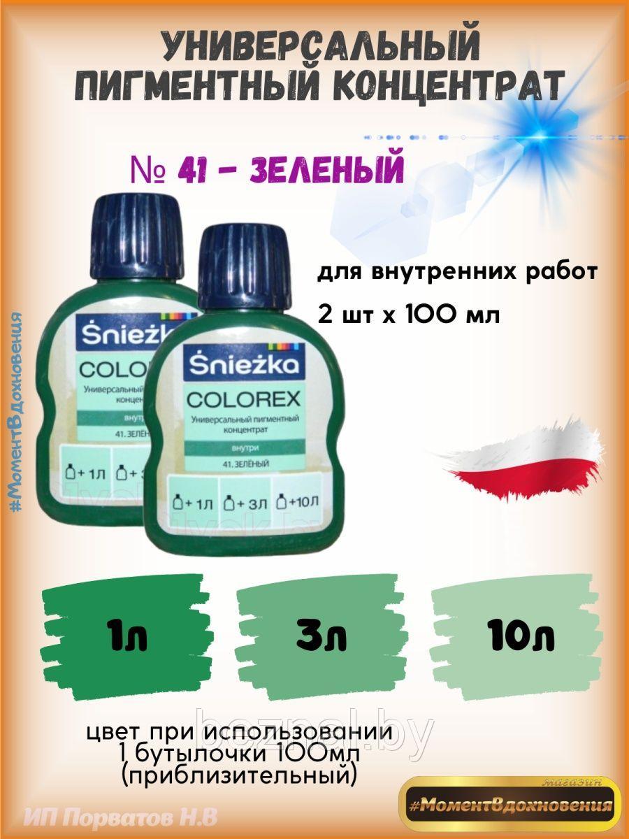 Колеры для краски зеленый Sniezka Colorex 100мл*2шт - фото 1 - id-p207334035