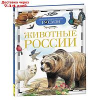 Детская энциклопедия "Животные России"