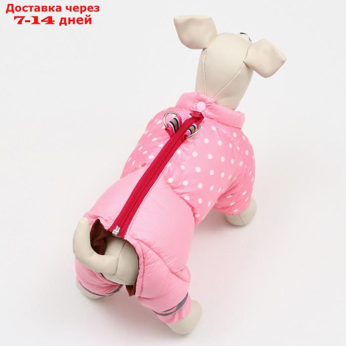 Комбинезон для собак с замком "Горошек",размер 18 (ДС 40 см, ОГ 50 см, ОШ 38 см),розовая - фото 4 - id-p207341170