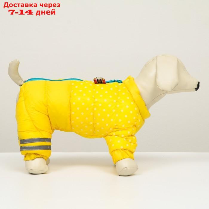 Комбинезон для собак "Горошек", размер 10 (ДС 25 см, ОГ 34 см, ОШ 24 см),жёлто-голубая - фото 2 - id-p207341173