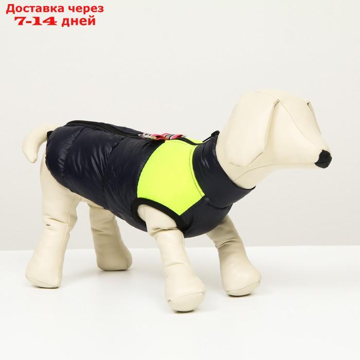 Куртка для собак на молнии, размер 8 (ДС 23 см, ОГ 30, ОГ 22 см), синяя с жёлтым - фото 1 - id-p207341174