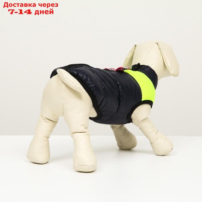 Куртка для собак на молнии, размер 8 (ДС 23 см, ОГ 30, ОГ 22 см), синяя с жёлтым - фото 3 - id-p207341174