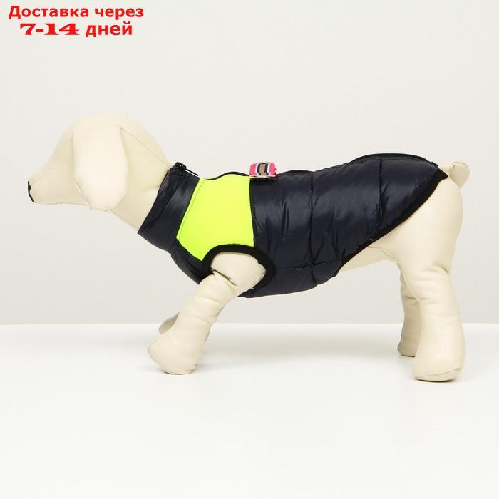 Куртка для собак на молнии, размер 8 (ДС 23 см, ОГ 30, ОГ 22 см), синяя с жёлтым - фото 4 - id-p207341174