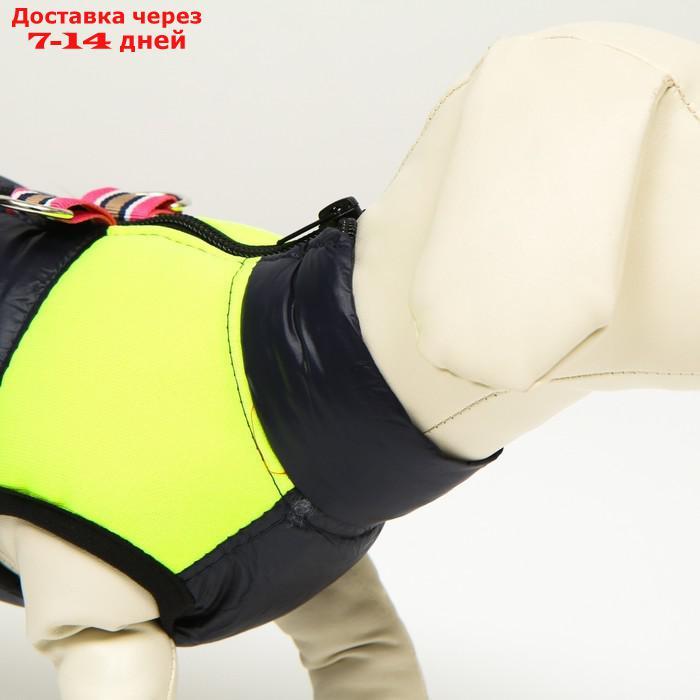 Куртка для собак на молнии, размер 8 (ДС 23 см, ОГ 30, ОГ 22 см), синяя с жёлтым - фото 5 - id-p207341174