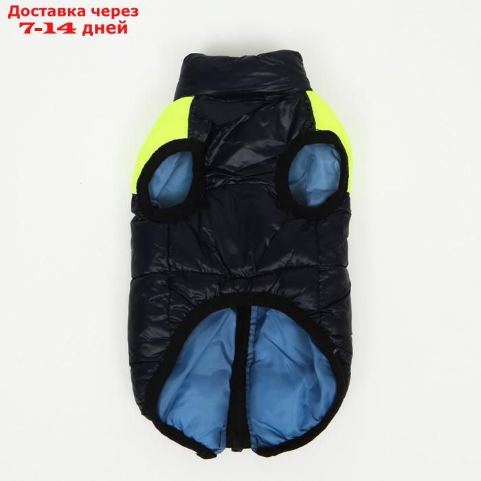 Куртка для собак на молнии, размер 8 (ДС 23 см, ОГ 30, ОГ 22 см), синяя с жёлтым - фото 9 - id-p207341174