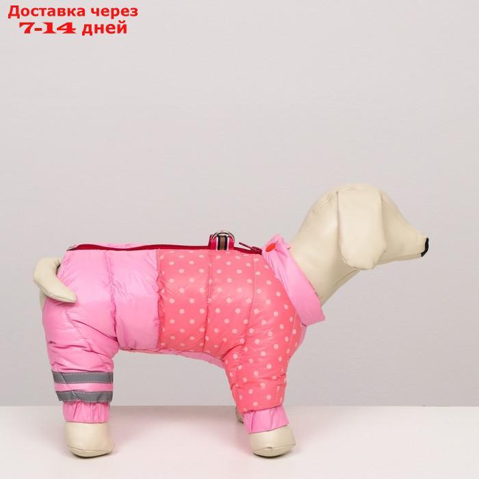 Комбинезон для собак с замком "Горошек",размер 20 (ДС 43 см, ОГ 56 см, ОГ 41 см),розовая - фото 3 - id-p207341190