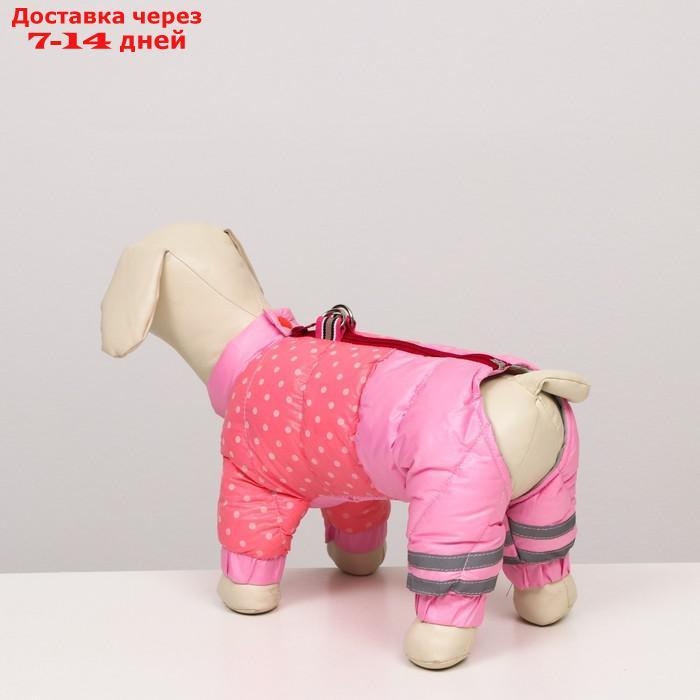 Комбинезон для собак с замком "Горошек",размер 20 (ДС 43 см, ОГ 56 см, ОГ 41 см),розовая - фото 4 - id-p207341190