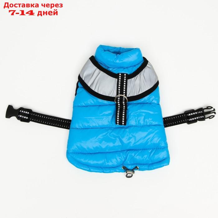 Куртка для собак со светоотражающей шлейкой, размер 16 (ДС 36, ОГ 46, ОШ 35), голубая - фото 2 - id-p207341222