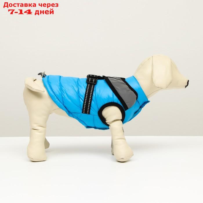 Куртка для собак со светоотражающей шлейкой, размер 16 (ДС 36, ОГ 46, ОШ 35), голубая - фото 3 - id-p207341222