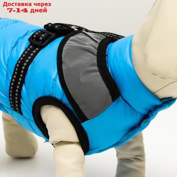 Куртка для собак со светоотражающей шлейкой, размер 16 (ДС 36, ОГ 46, ОШ 35), голубая - фото 6 - id-p207341222