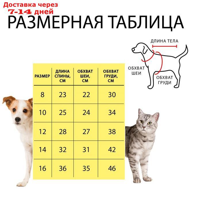 Комбинезон принтованный с замком на спине, размер 12 (ДС 28, ОГ 38, ОШ 27 см), красный - фото 5 - id-p207341226