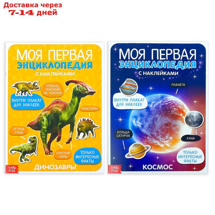 Наклейки "Энциклопедии о динозаврах и космосе", набор 2 шт. по 8 стр., формат А4 - фото 1 - id-p207338289