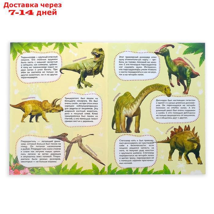 Наклейки "Энциклопедии о динозаврах и космосе", набор 2 шт. по 8 стр., формат А4 - фото 2 - id-p207338289