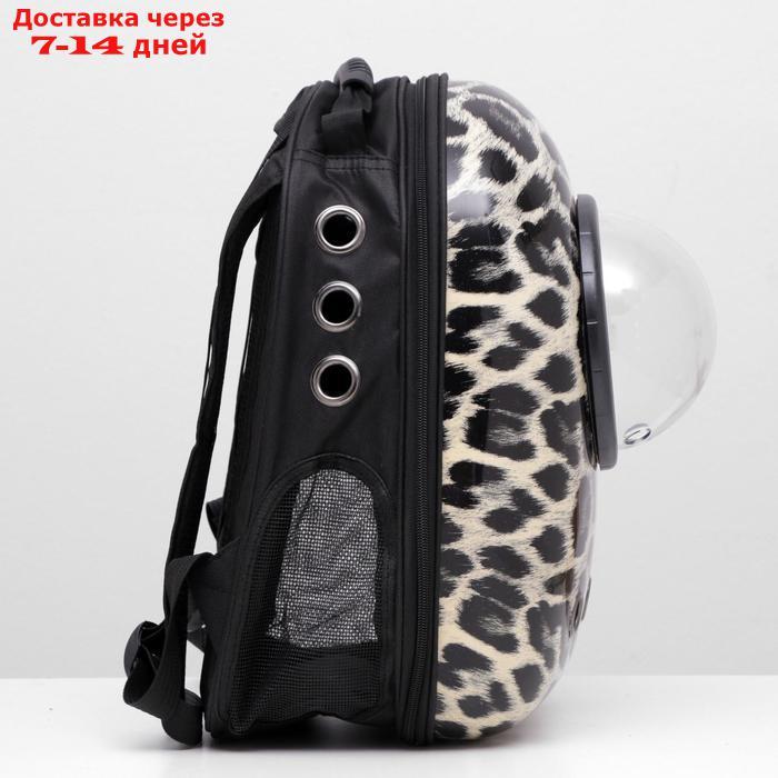 Рюкзак для переноски животных с окном для обзора, 32 х 22 х 43 см - фото 4 - id-p207341239