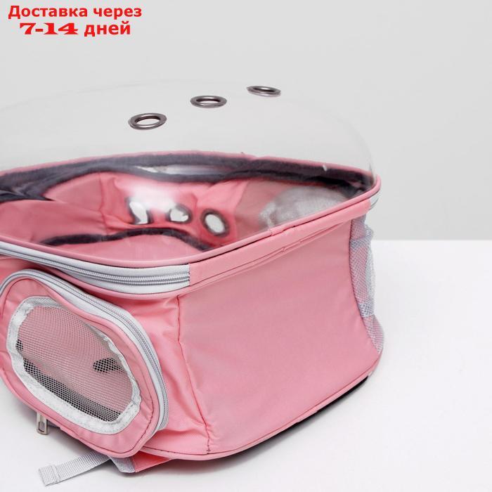 Рюкзак для переноски животных прозрачный, 31 х 28 х 42 см, розовый - фото 2 - id-p207341243
