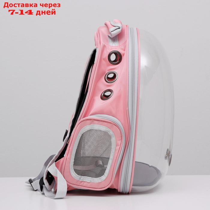 Рюкзак для переноски животных прозрачный, 31 х 28 х 42 см, розовый - фото 3 - id-p207341243