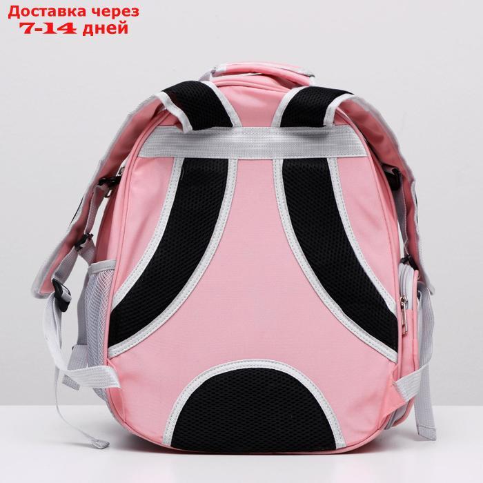 Рюкзак для переноски животных прозрачный, 31 х 28 х 42 см, розовый - фото 5 - id-p207341243