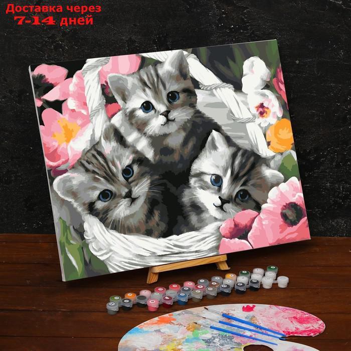 Картина по номерам на холсте с подрамником "Котята" 40х50 см - фото 2 - id-p207335194