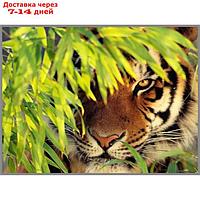 Алмазная мозаика "Тигр в засаде" 28×20см, 18 цветов
