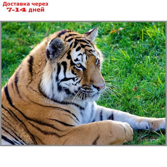 Алмазная мозаика "Тигр на лужайке" 27×20см, 28 цветов - фото 1 - id-p207336400