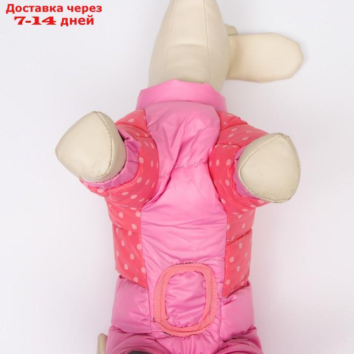 Комбинезон для собак с замком "Горошек",размер 14 (ДС 32 см, ОГ 42 см, ОШ 31 см),розовая - фото 7 - id-p207341260