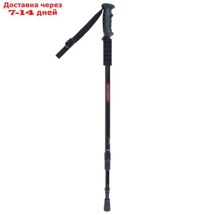 Палка для скандинавской ходьбы, телескопическая, 3 секционная, 135 см, (1 шт) - фото 1 - id-p207336582