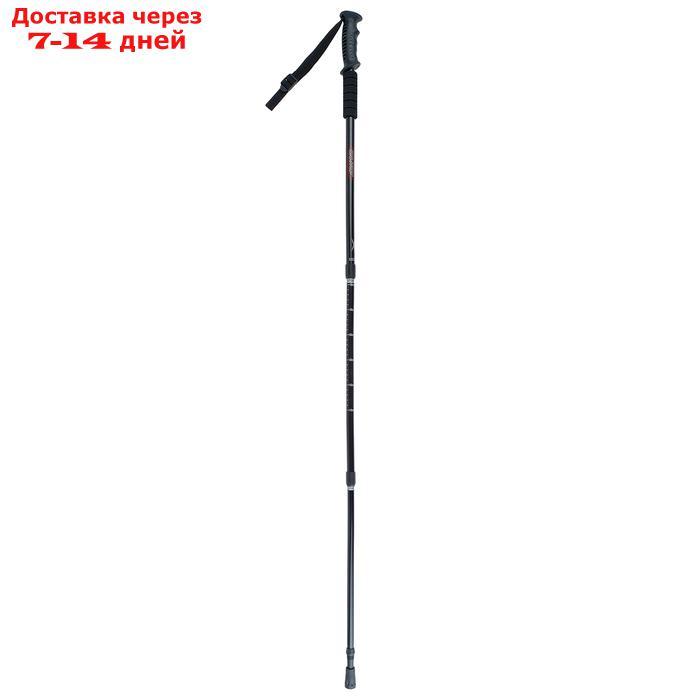 Палка для скандинавской ходьбы, телескопическая, 3 секционная, 135 см, (1 шт) - фото 2 - id-p207336582