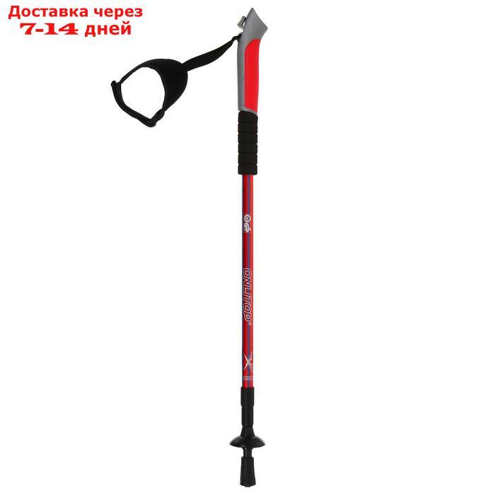 Палки для скандинавской ходьбы, телескопическая, 3 секции, до 135 см (пара 2 шт), цвета МИКС - фото 3 - id-p207336584