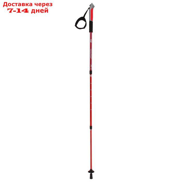 Палки для скандинавской ходьбы, телескопическая, 3 секции, до 135 см (пара 2 шт), цвета МИКС - фото 4 - id-p207336584