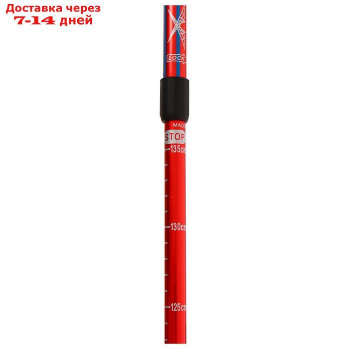 Палки для скандинавской ходьбы, телескопическая, 3 секции, до 135 см (пара 2 шт), цвета МИКС - фото 5 - id-p207336584