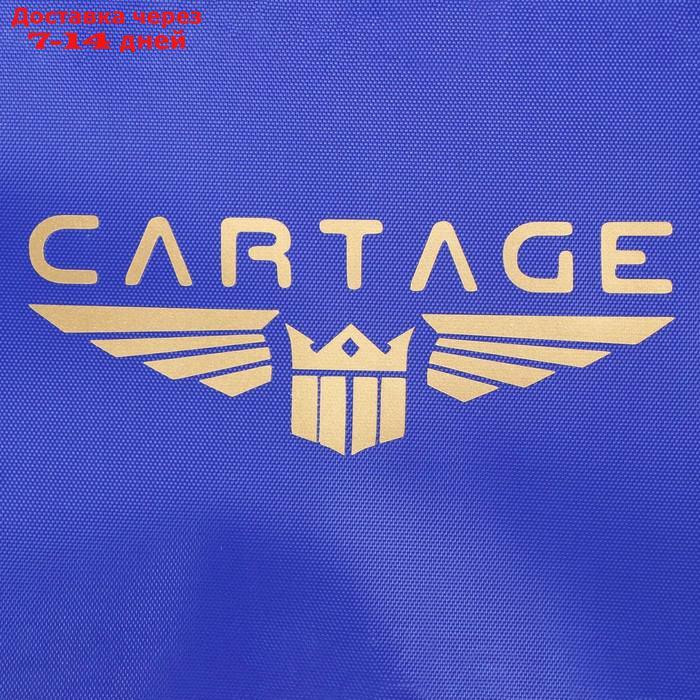 Термосумка Cartage Т-12, синяя, 17-18 литров, 35х21х24 см - фото 6 - id-p207336638