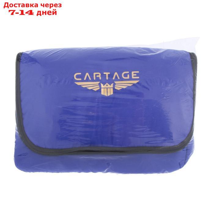 Термосумка Cartage Т-12, синяя, 17-18 литров, 35х21х24 см - фото 7 - id-p207336638