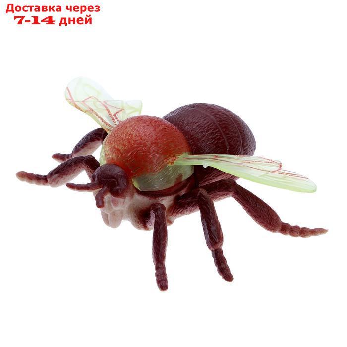 Набор насекомых "Лесные", 5 шт - фото 2 - id-p207336726