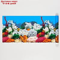 Фон для аквариума, 30 см, рулон 25 м