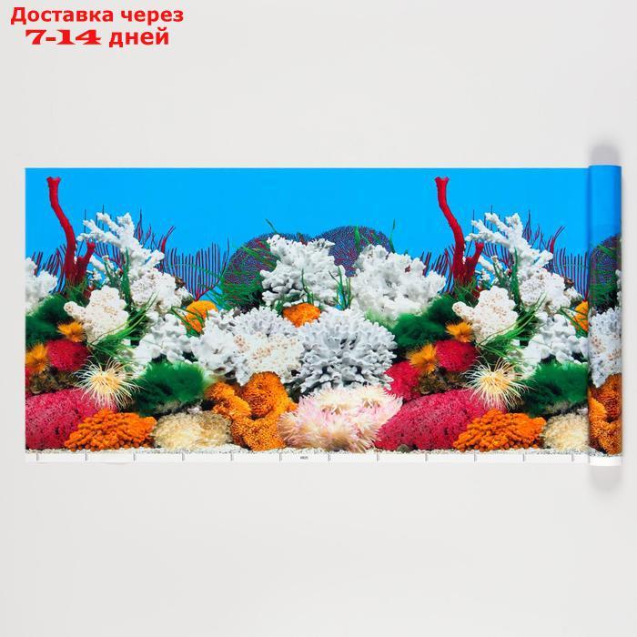 Фон для аквариума, 30 см, рулон 25 м - фото 1 - id-p207339668
